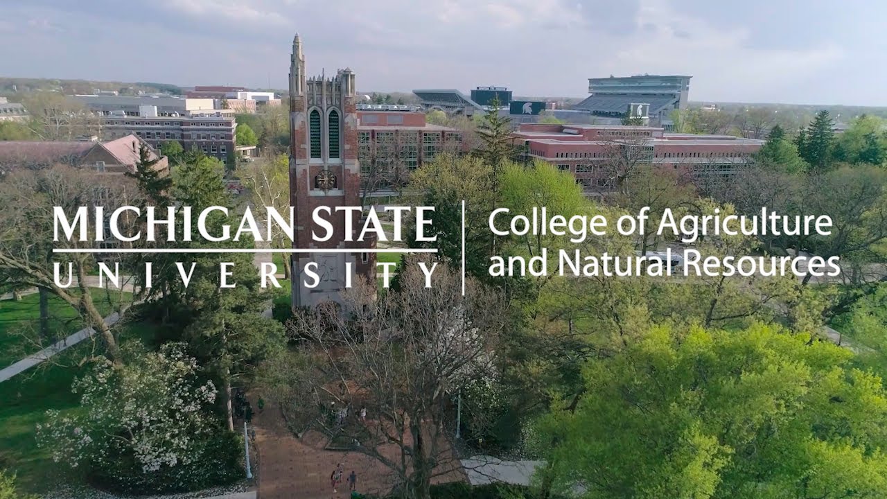 /Michigan%20State%20University%20College%20of%20Agriculture%20%26%20Natural%20Resources%20Academics